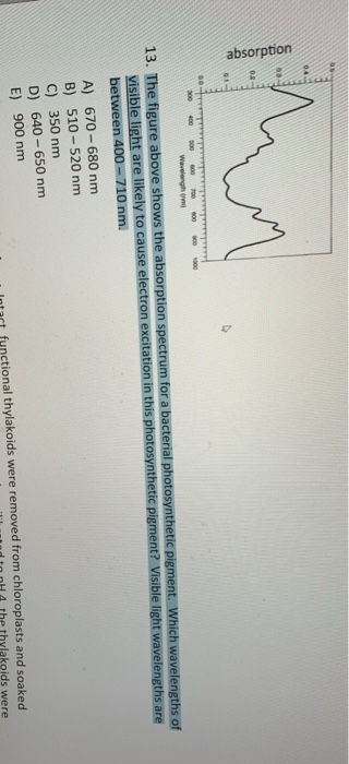 Solved 13. The figure above shows the absorption spectrum | Chegg.com