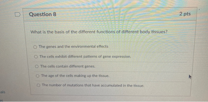Solved Question 8 2 pts What is the basis of the different | Chegg.com