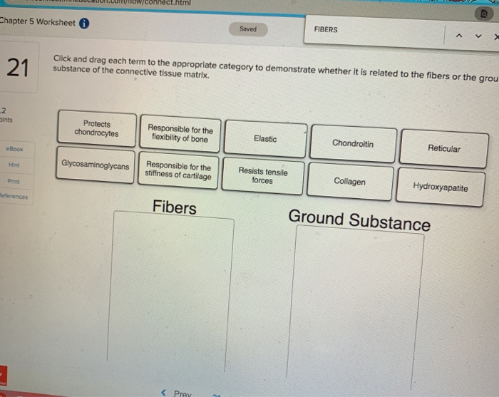 Solved Drag Each Term Into The Appropriate Category To De Chegg Com