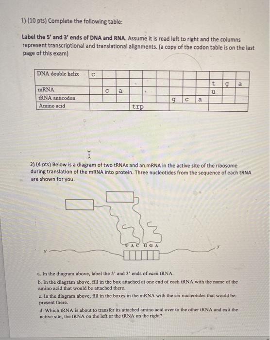 Solved 1) (10 Pts) Complete The Following Table: Label The | Chegg.com