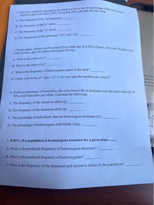 Solved Hardy Weinbere Problem Set p2+2pq+q2−1p+q=1 p= | Chegg.com