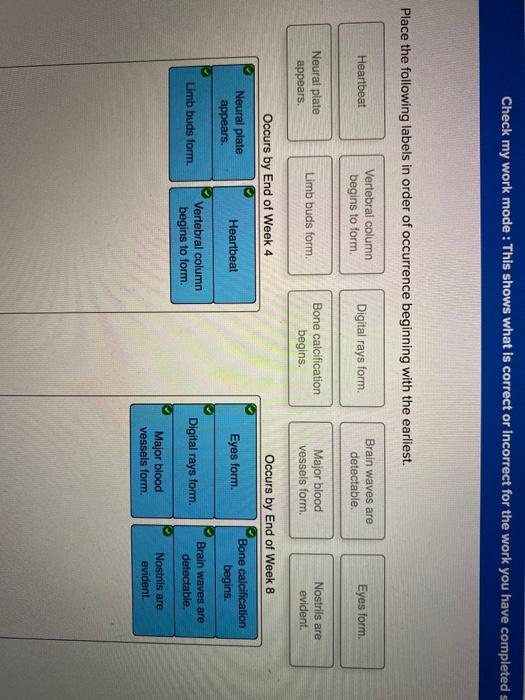 Solved Place the following labels in order of occurence | Chegg.com