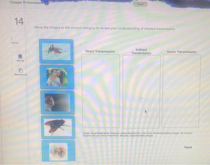 Solved Move the images to the correct category ta review | Chegg.com