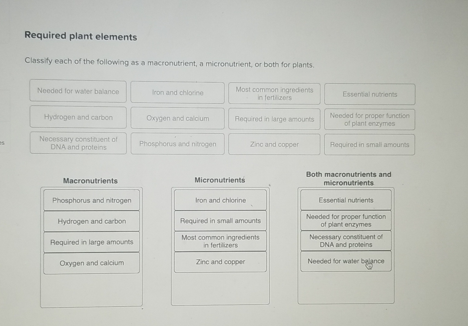 which of the following elements is considered a micronutrient for plants