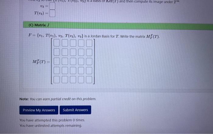 \[
\begin{array}{r}
v_{3}= \\
T\left(v_{3}\right)=
\end{array}
\]
(C) Matrix J
\( F=\left\{v_{1}, T\left(v_{1}\right), v_{2},