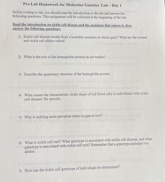 Solved Pre-Lab Homework For Molecular Genetics Lab - Day 1 | Chegg.com