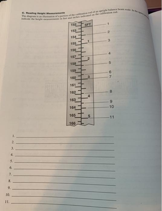 Reading The diagram is an illustration of a portion of the club doan upright balance beam sale. In the indicate the height me