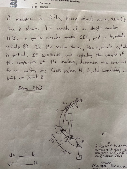 Solved U I Id Small Intestine M O A Duodenum O B Jejun Chegg Com