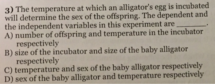 egg temperature baby