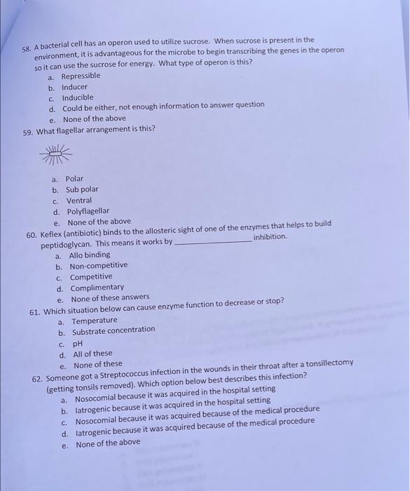 58. A bacterial cell has an operon used to utilize sucrose. When sucrose is present in the environment, it is advantageous fo