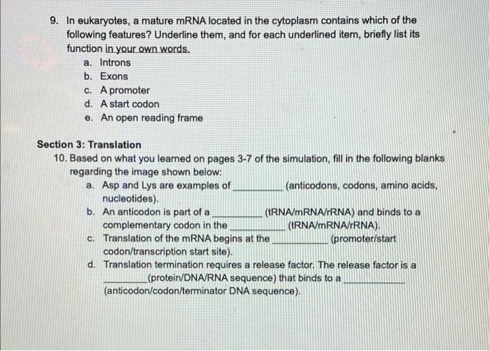 Solved Section 1 How cells make proteins 1. Based on what