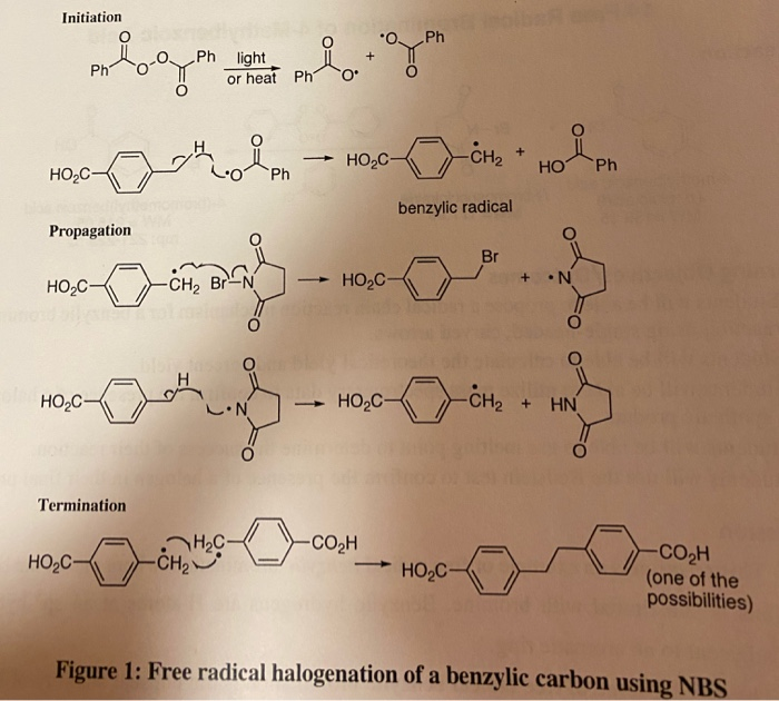 Solved 14 Free Radical Bromination of 4Methylbenzoic Acid