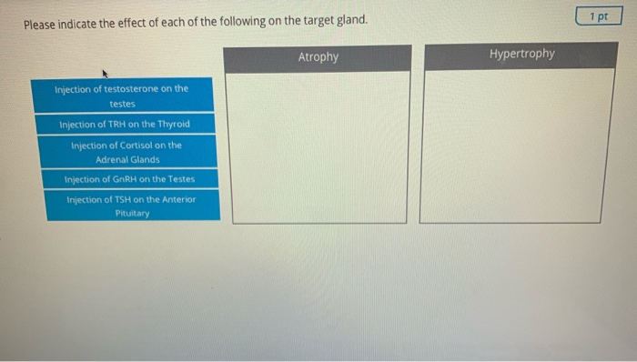 Solved Indicate the effect of each of the following on the | Chegg.com