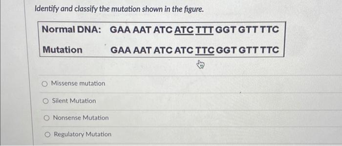 Solved Identify and classify the mutation shown in the | Chegg.com