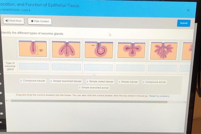 Solved Rund Aloud Rate Content Submit The Images Depict The Chegg Com