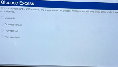 Solved Glucose ExcessThere is a large amount of ATP | Chegg.com