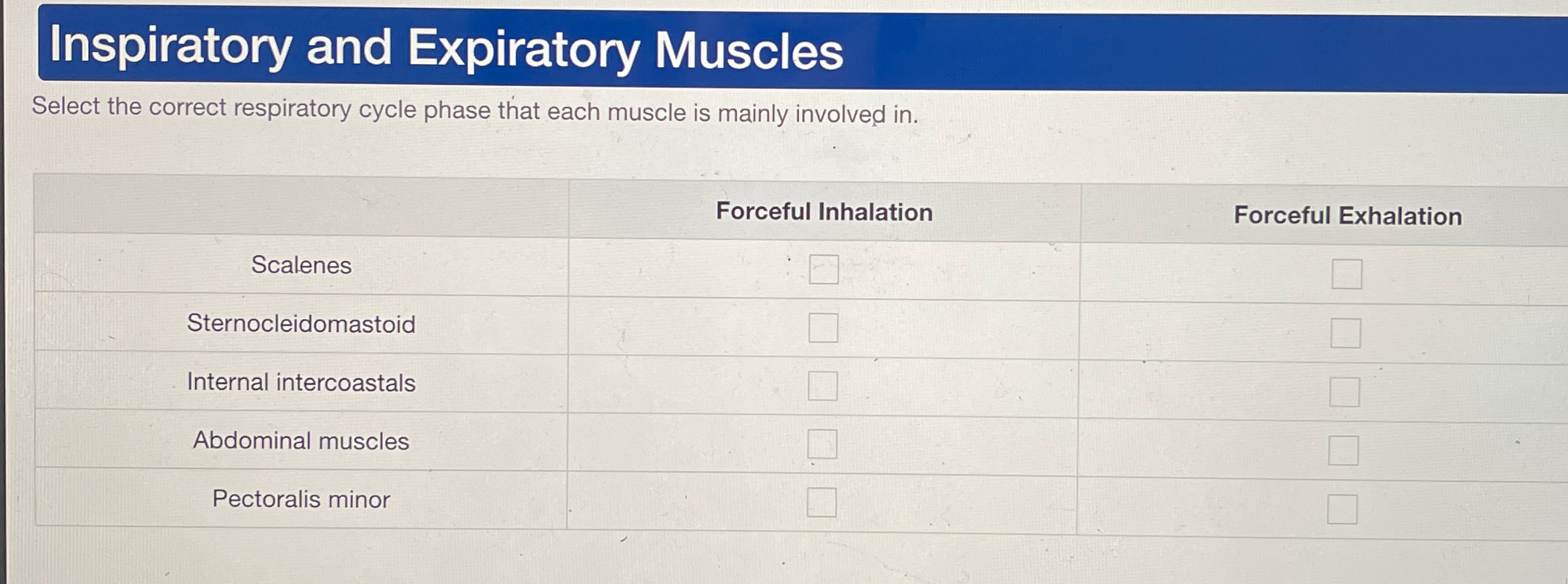 Solved Inspiratory and Expiratory MusclesSelect the correct | Chegg.com