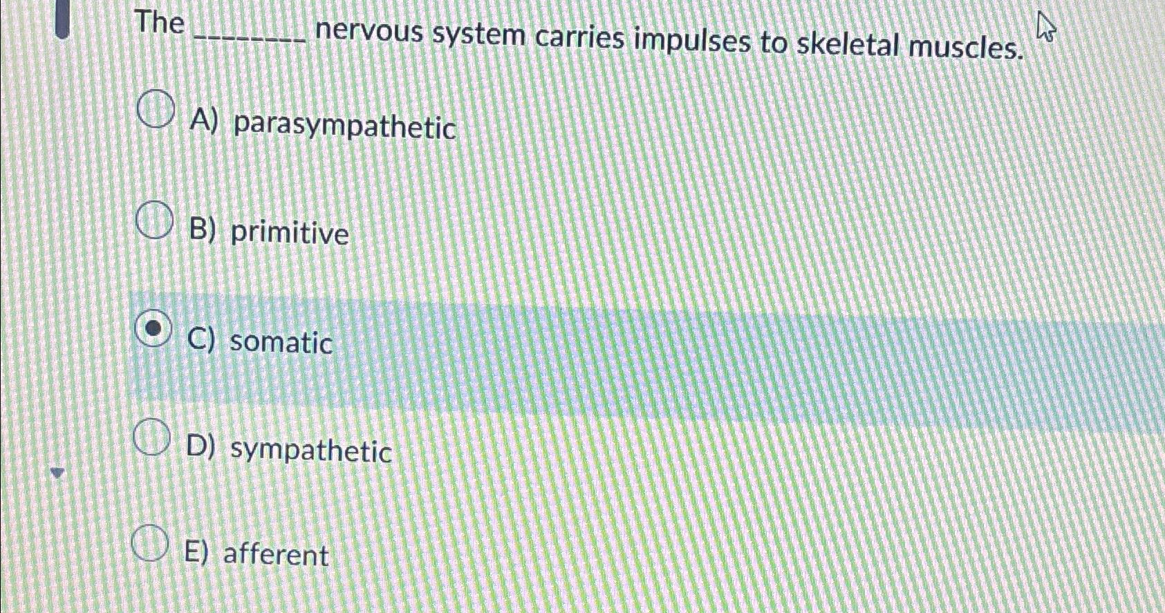 Solved The nervous system carries impulses to skeletal | Chegg.com