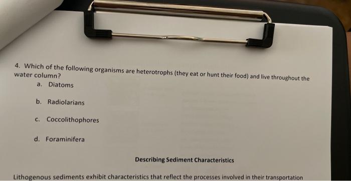 4. Which of the following organisms are heterotrophs (they eat or hunt their food) and live throughout the water column?
a. D