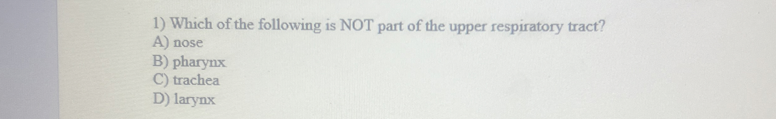 Solved Which of the following is NOT part of the upper | Chegg.com