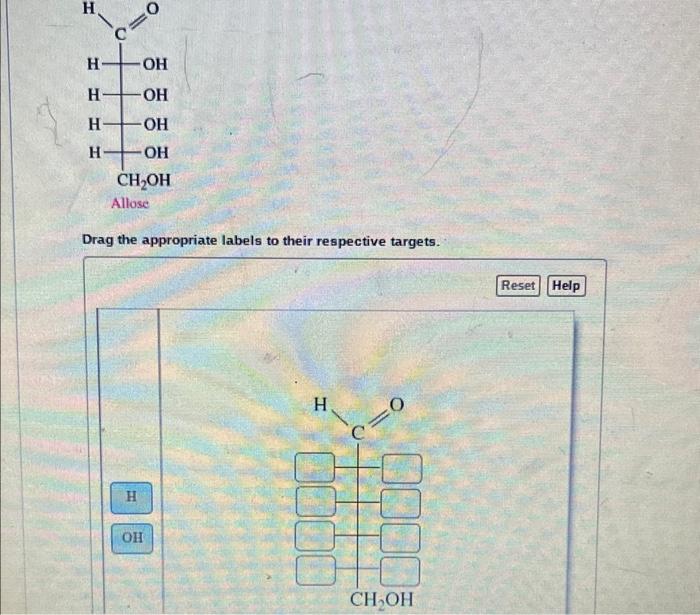 Solved Drag The Appropriate Labels To Their Respective | Chegg.com