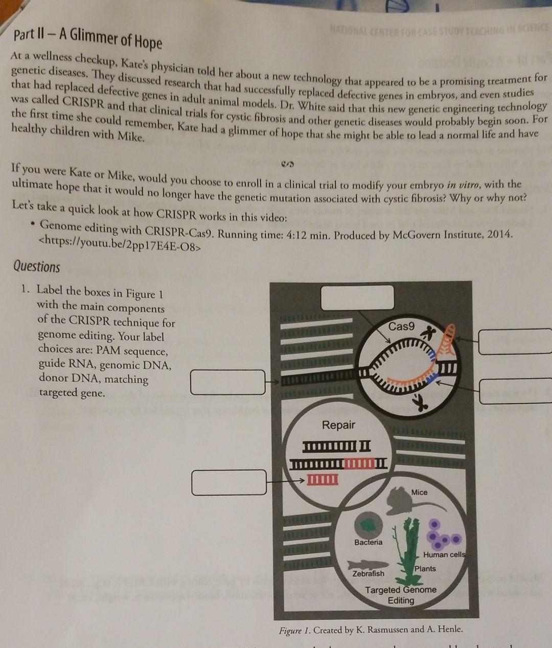 national center for case study teaching in science killing chloroplasts answers