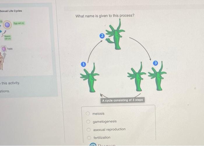 Look At The Diagram Below What Name Is Given To This Phenomenon