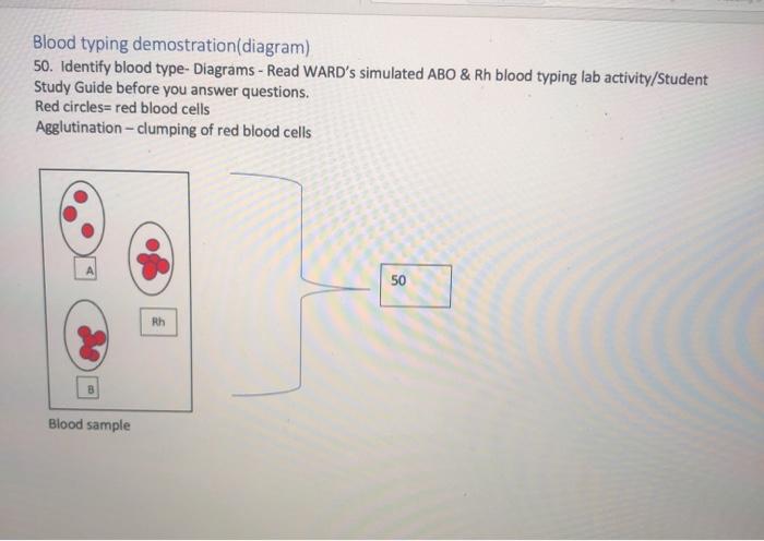 Solved Blood Typing Demostration(diagram) 50. Identify Blood | Chegg.com