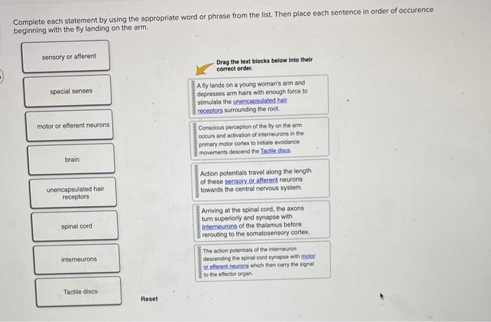 Solved Complete Each Statement By Using The Appropriate Word | Chegg.com