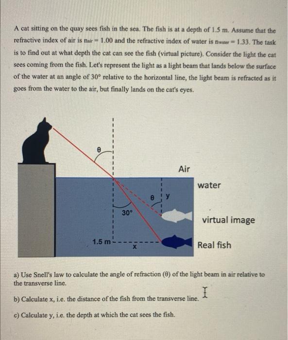 Solved A cat sitting on the quay sees fish in the sea. The | Chegg.com