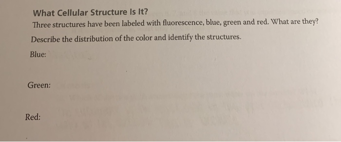 Solved What Cellular Structure Is It Three Structures Have 4727