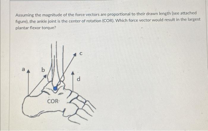 Solved Assuming the magnitude of the force vectors are | Chegg.com