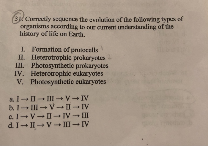 Solved 31. Correctly Sequence The Evolution Of The Following | Chegg.com