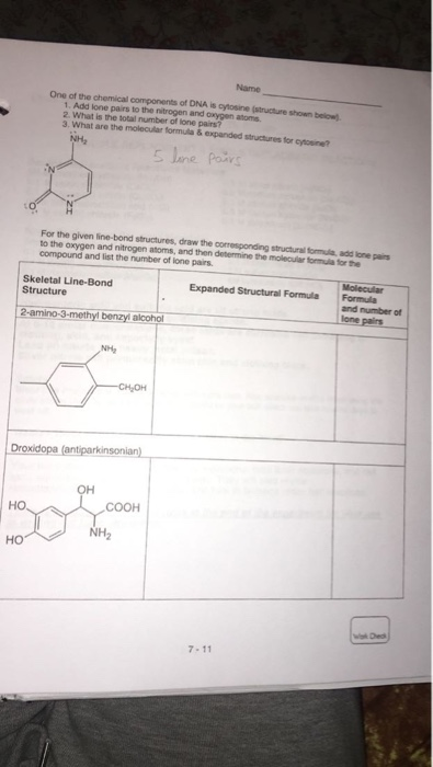 Solved Name One of the chemical components of DNA is | Chegg.com