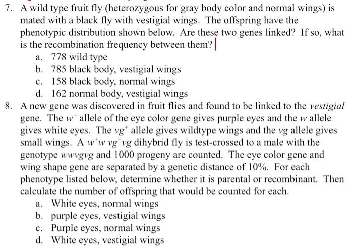 in a fruit fly experiment grey body normal winged