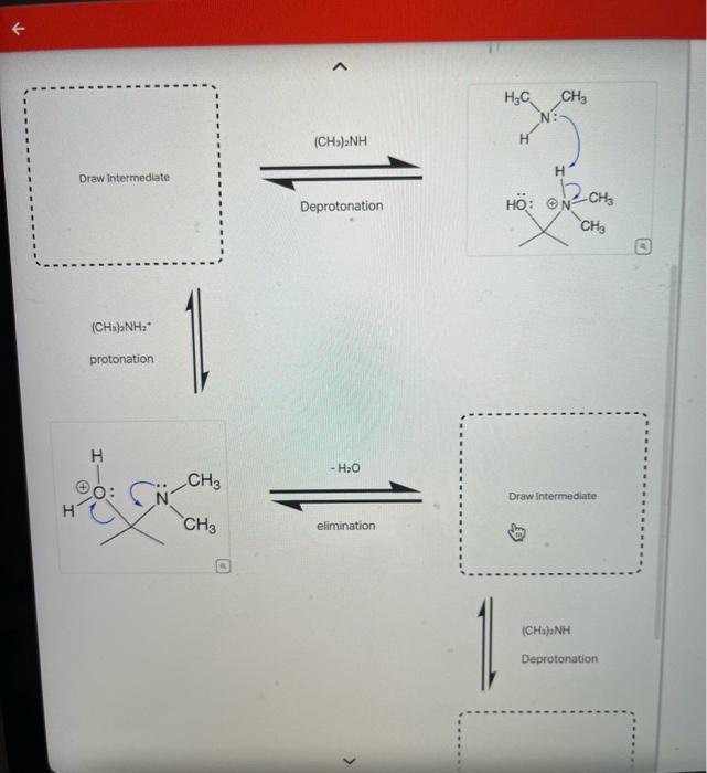Solved urved arrows are used to illustrate the flow of | Chegg.com