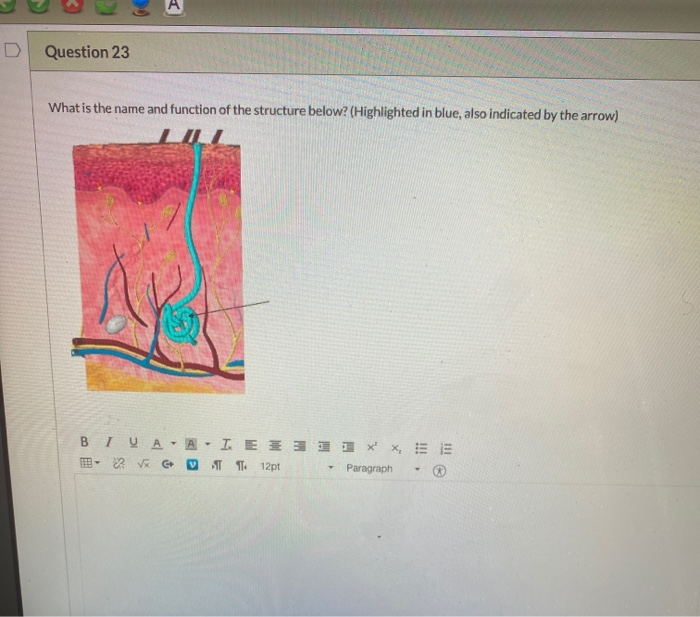 Solved Question 23 What is the name and function of the | Chegg.com