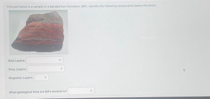 Solved Pictured below is a sample of a Banded Iron Formation | Chegg.com
