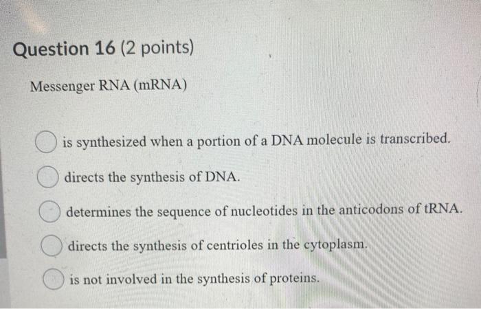 Solved Question 16 (2 points) Messenger RNA (mRNA) is | Chegg.com