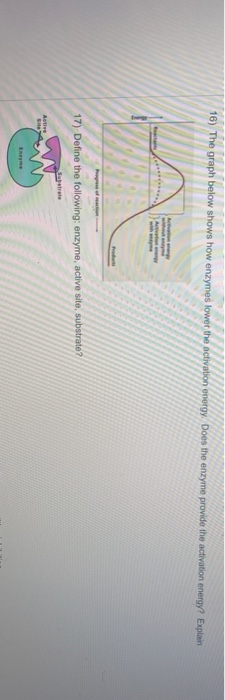 Solved 16) The graph below shows how enzymes lower the | Chegg.com
