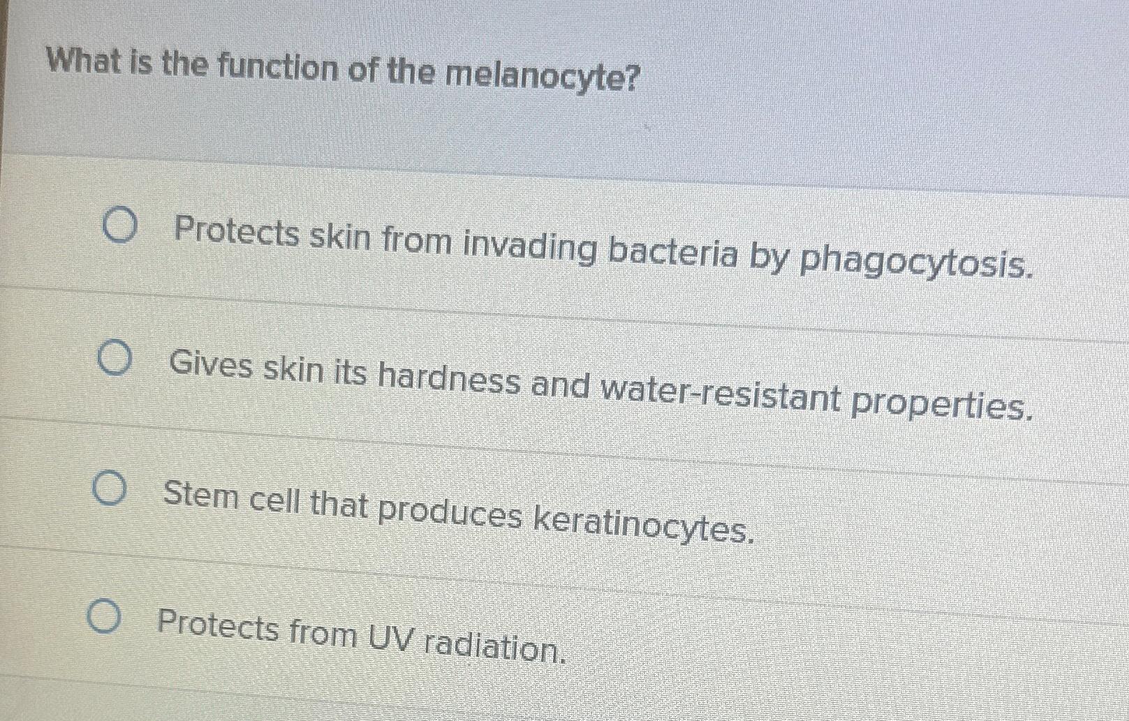 Is Your Skin Fading The Mystery Of Low Melanocyte Function - e447skj