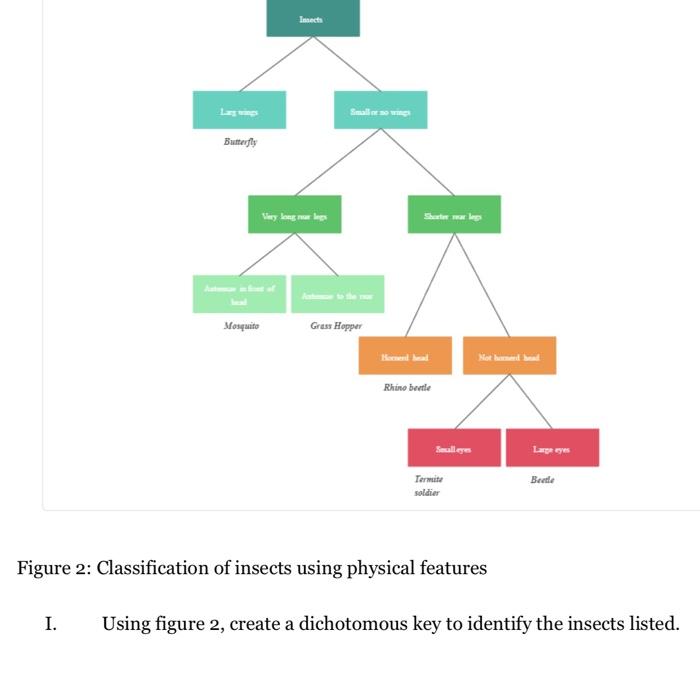 Solved Figure 2: Classification of insects using physical | Chegg.com