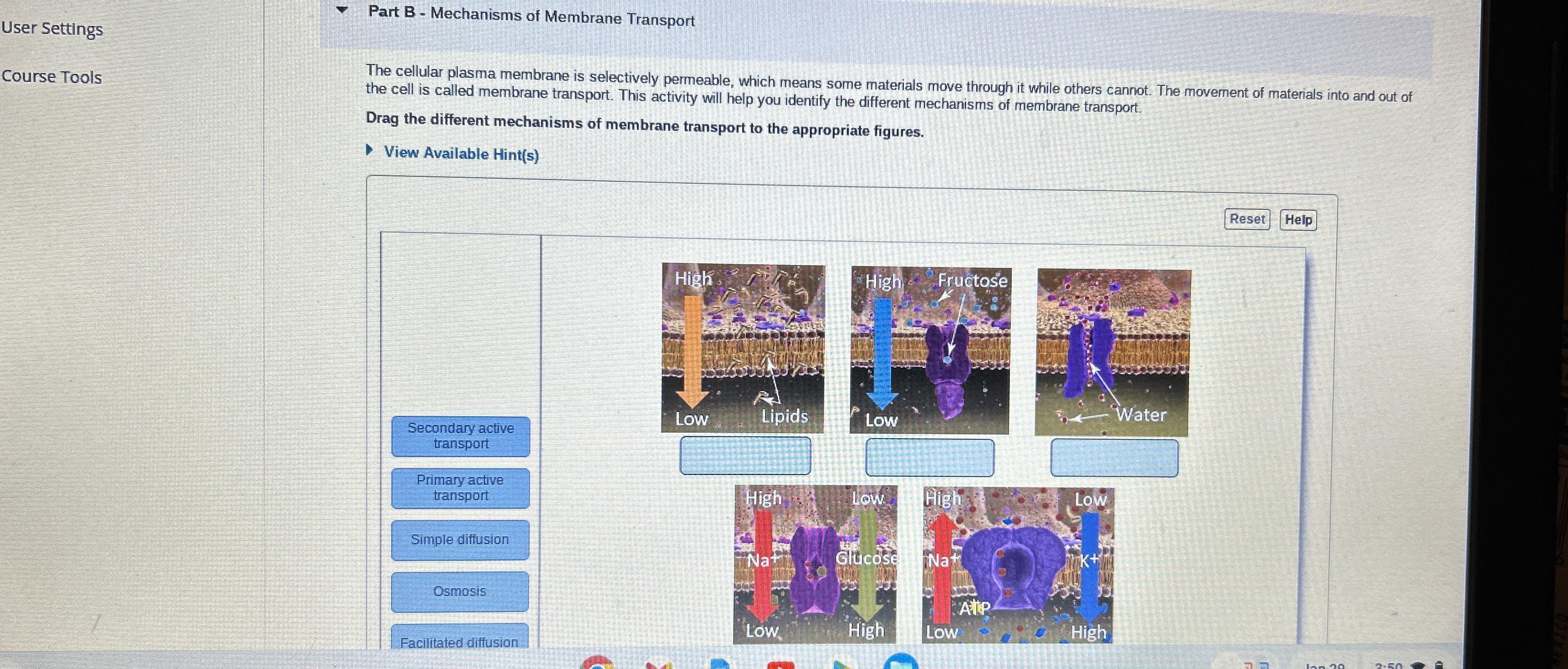 Solved User SettingsCourse ToolsPart B - ﻿Mechanisms of | Chegg.com