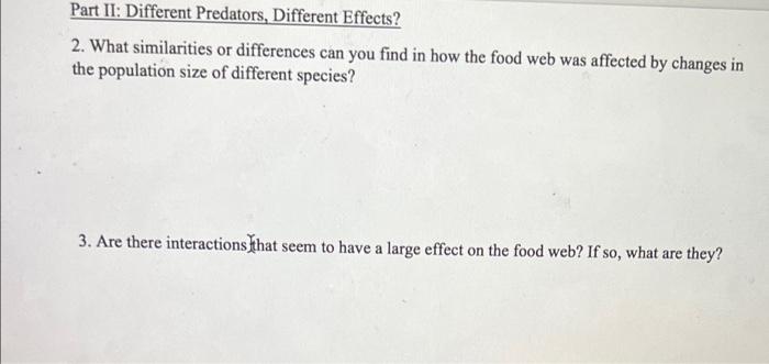 Unbelievable Yellowstones Food Web A Predators Paradise - 8cauuhs