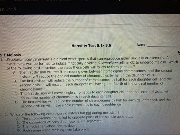 7-genetics-the-science-of-heredity-worksheet-answer-key-math-fact