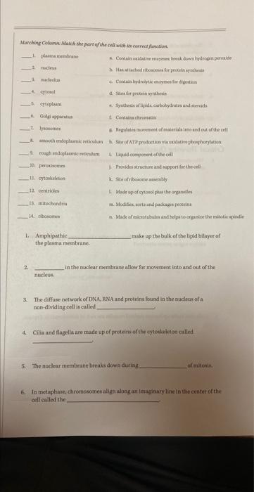 Solved Matching Column: Match the part of the cell with its | Chegg.com