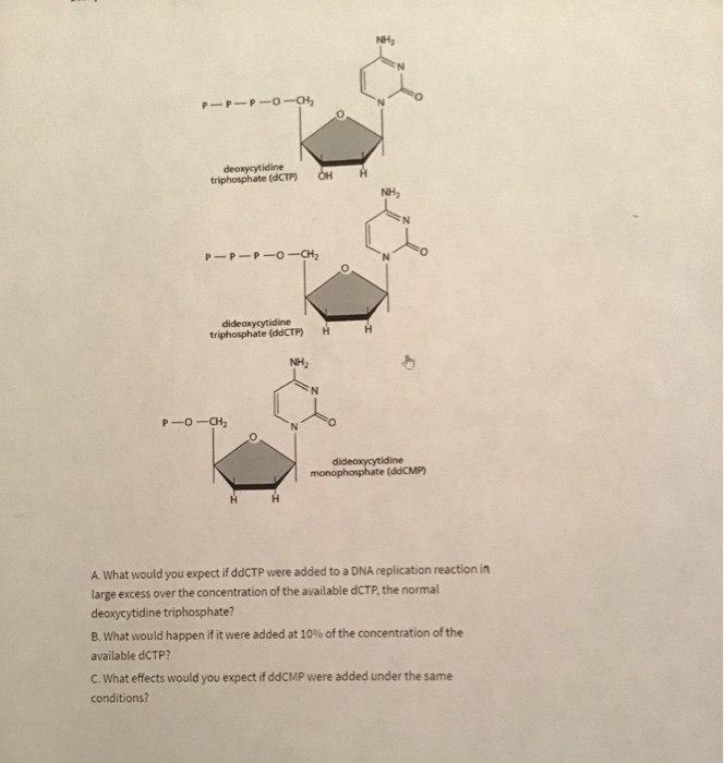 Solved P-P-P-o- deoxycytidine triphosphate (CTP) P-P-P-0 CH | Chegg.com