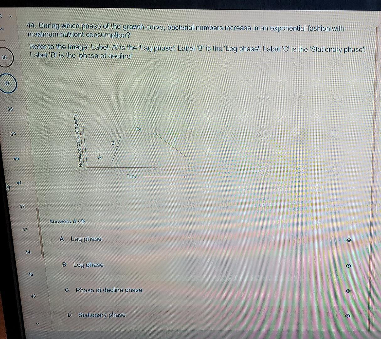 Solved 44. During which phase of the growth curve, bacterial | Chegg.com
