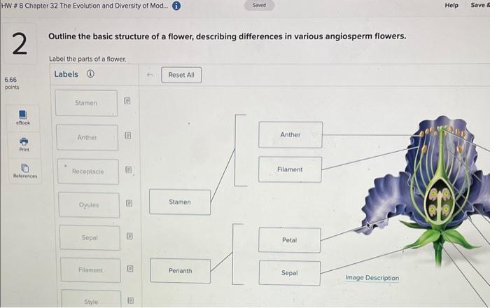 Solved HW \# 8 Chapter 32 The Evolution and Diversity of | Chegg.com
