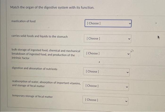 Solved Match the organ of the digestive system with its | Chegg.com